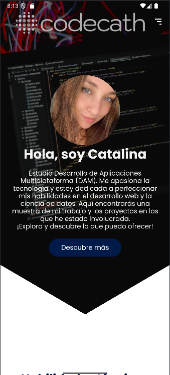 Página web cargada como aplicación con WebView